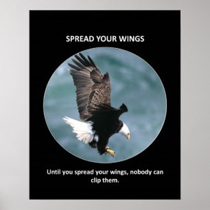 spread-your-wings poster