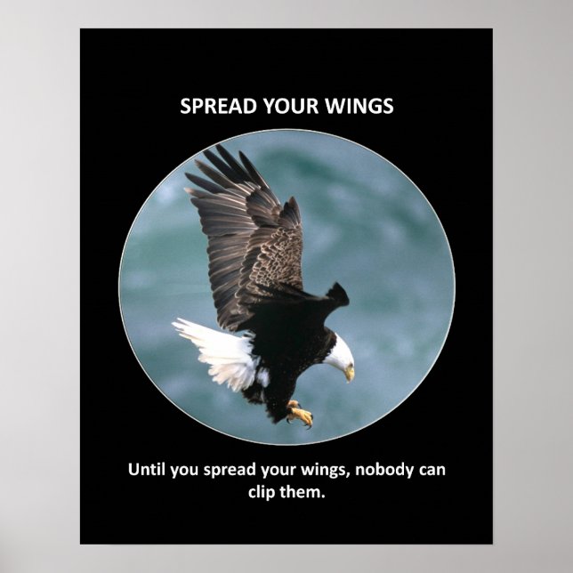 spread-your-wings poster (Front)