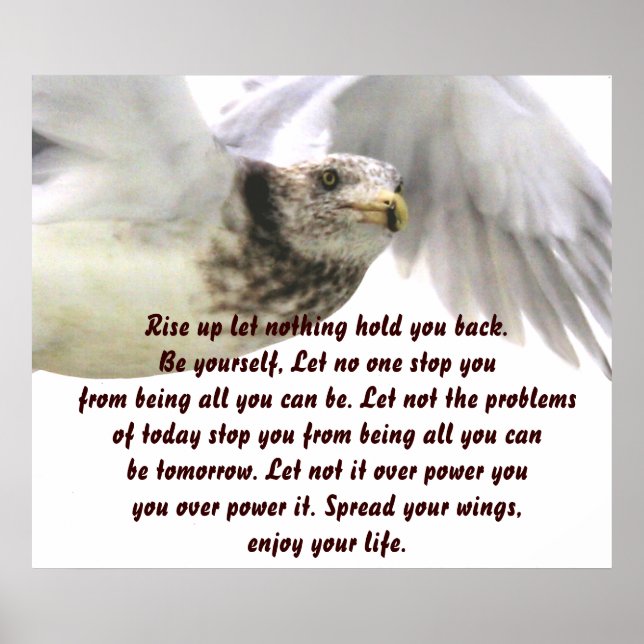 Spread your Wings_Poster Poster (Front)