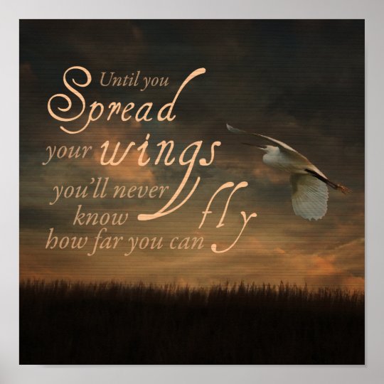 Spread Your Wings Quote Poster | Zazzle.co.uk