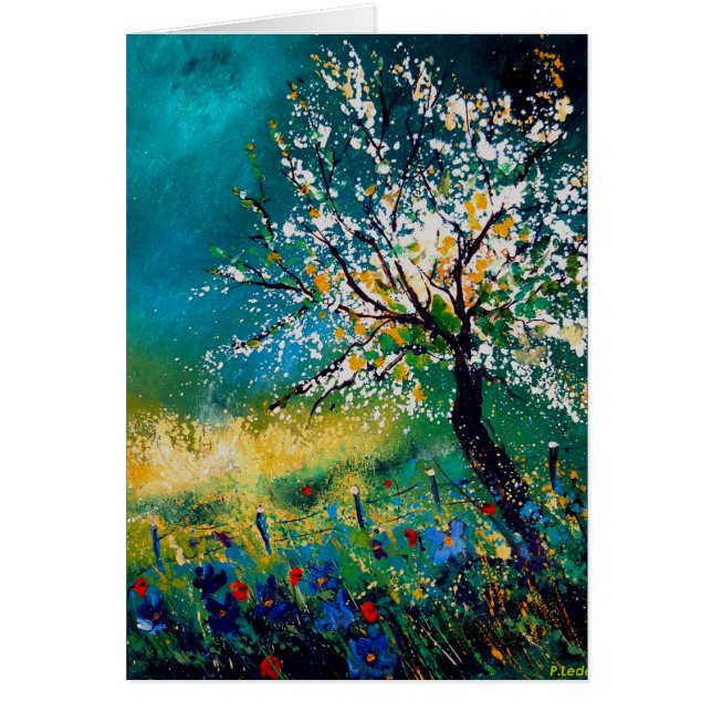 spring450408 (Front)