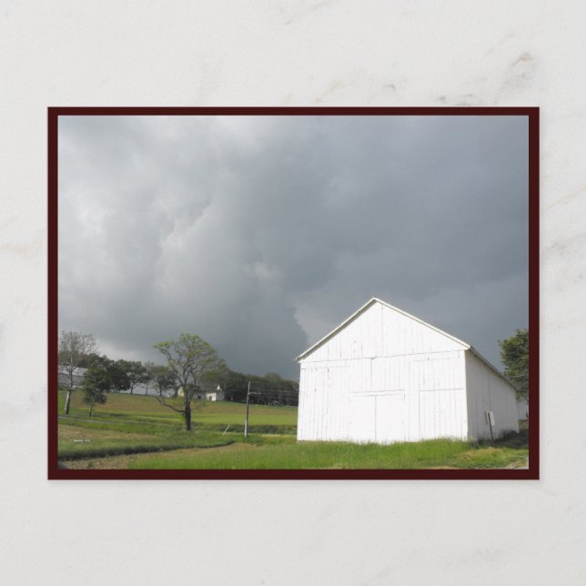 ~ Spring 25.5 ~ Postcard (Front)