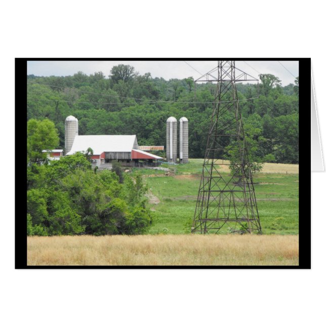 Spring 40 (Front Horizontal)