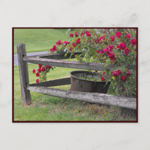 ~ Spring 41 ~ Postcard