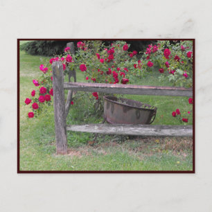 ~ Spring 42 ~ Postcard