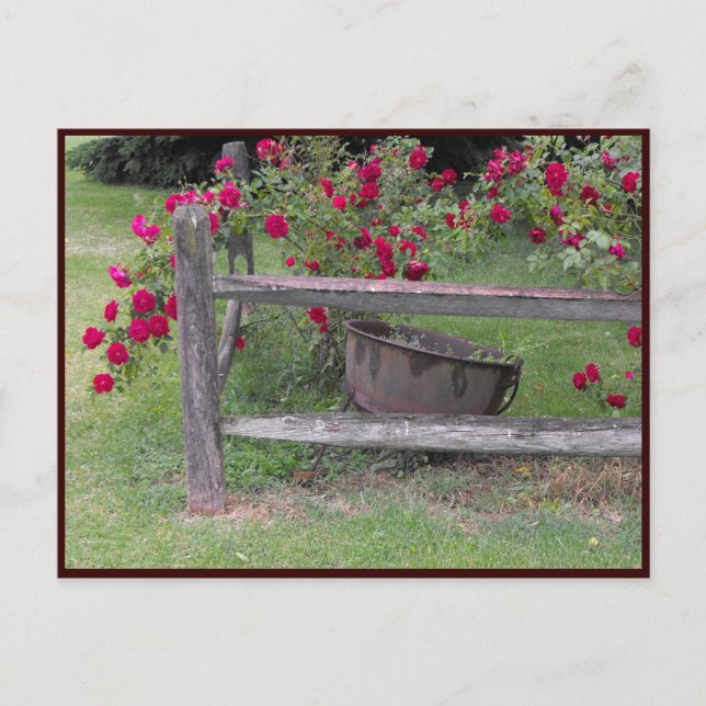 ~ Spring 42 ~ Postcard (Front)
