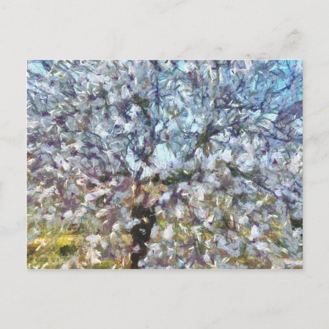 Spring Almond Blossom Pointillism Artwork Postcard (Front)