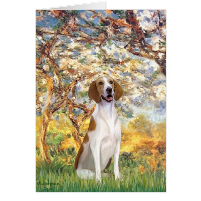Spring- American Foxhound (Front)