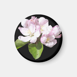 Spring Apple Blossom Fridge Magnet Round