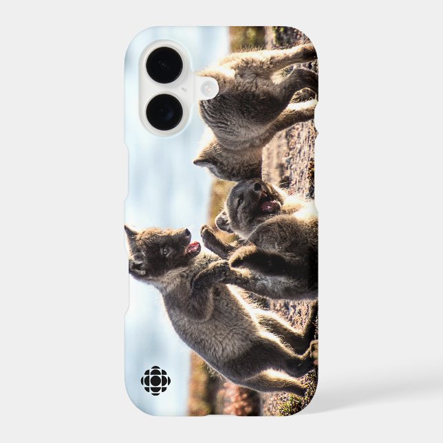 Spring - Arctic Fox (Back)