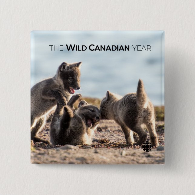 Spring - Arctic Fox 15 Cm Square Badge (Front)