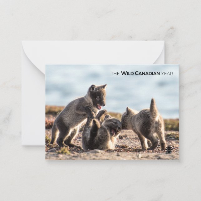 Spring - Arctic Fox Card (Front)