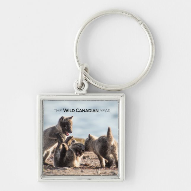 Spring - Arctic Fox Key Ring (Front)