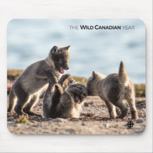 Spring - Arctic Fox Mouse Mat