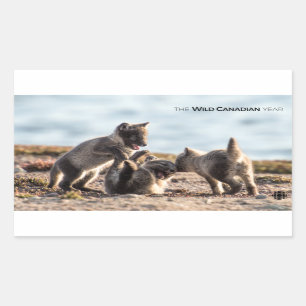 Spring - Arctic Fox Rectangular Sticker