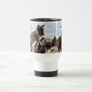 Spring - Arctic Fox Travel Mug