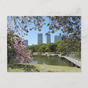 Spring at Hama-rikyu Gardens: Tokyo Postcard