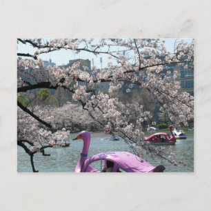 Spring at Shinobazu Pond: Ueno, Tokyo Postcard