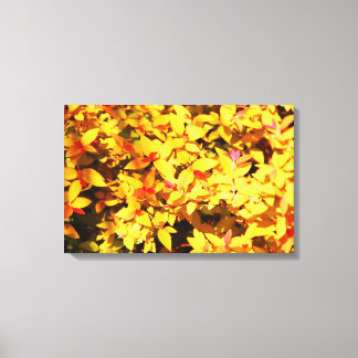 Spring at the Arboretum 6 Canvas Print