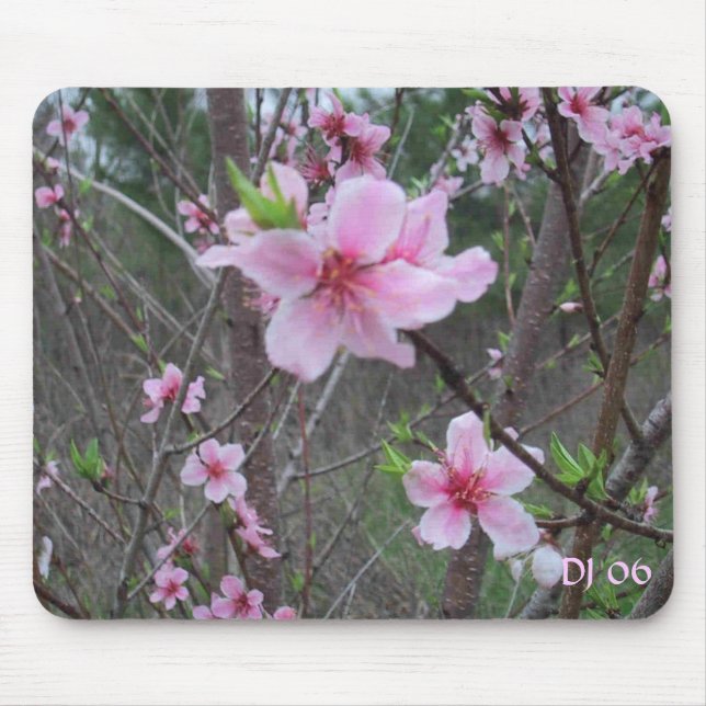 Spring at the farm, DJ 06 Mouse Mat (Front)