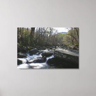 Spring at the Little Pigeon River Canvas Print