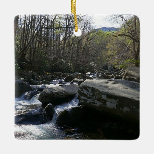 Spring at the Little Pigeon River Ceramic Ornament (Front)