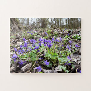 Spring awakening , forest flowers , March violets Jigsaw Puzzle