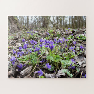 Spring awakening , forest flowers , March violets Jigsaw Puzzle