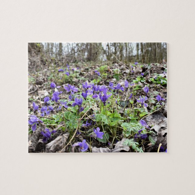 Spring awakening , forest flowers , March violets Jigsaw Puzzle (Horizontal)