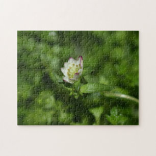 Spring awakening , just a little bloom jigsaw puzzle