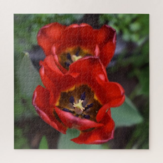 Spring awakening , Tulips Jigsaw Puzzle (Vertical)