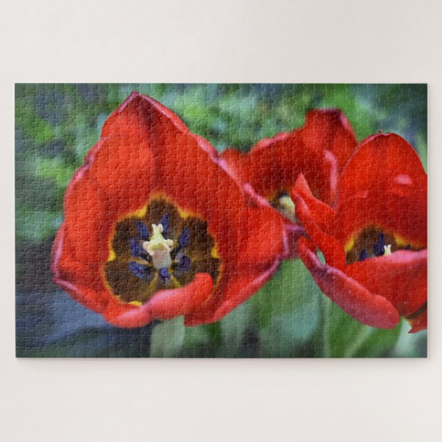 Spring awakening , Tulips Jigsaw Puzzle (Horizontal)