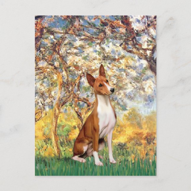Spring - Basenji Postcard (Front)