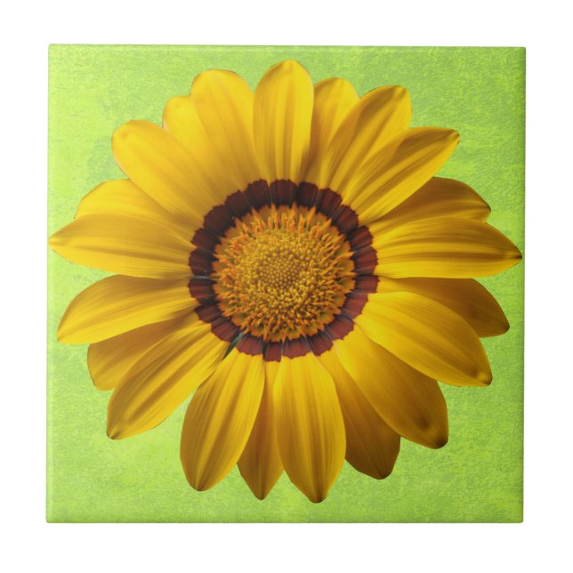 Spring beautiful yellow flower on abstract green tile (Front)