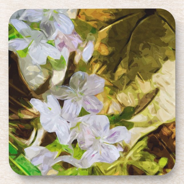 Spring Beauty a Wildflower Abstract Impressionism Coaster (Front)