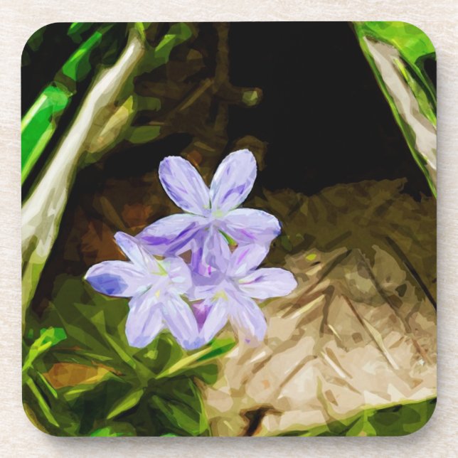 Spring Beauty a Wildflower Abstract Impressionism Coaster (Front)