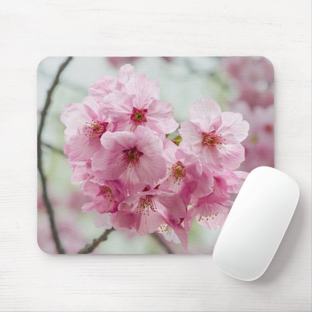 Spring Beauty: Cherry Blossom Photography Mouse Mat (With Mouse)