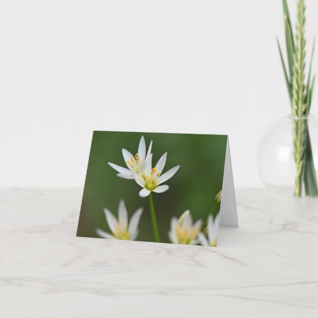 Spring Beauty  Folded Thank You Card (Front)