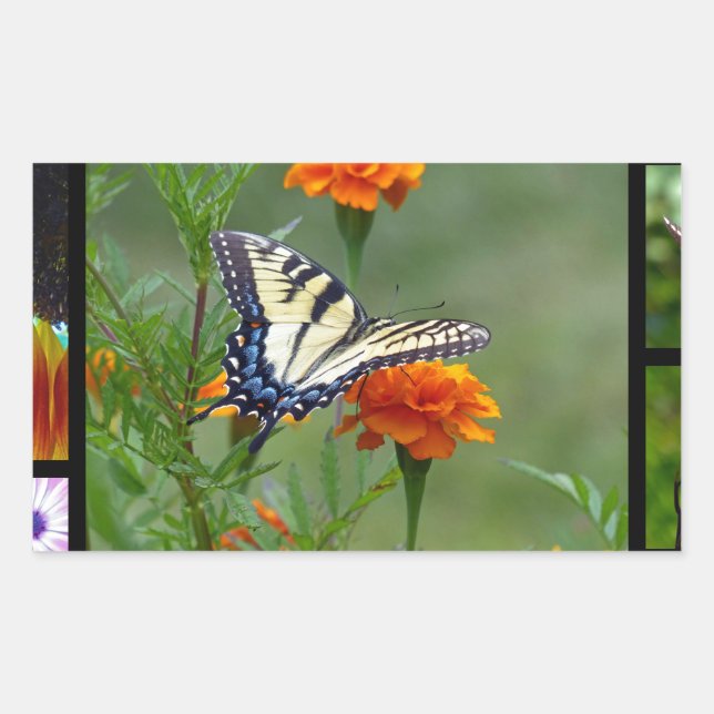 Spring Beauty Rectangular Sticker (Front)