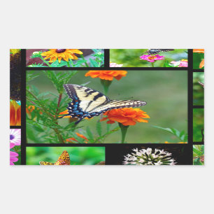 Spring Beauty Rectangular Sticker