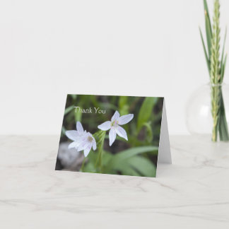 Spring Beauty Thank You Card