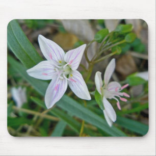Spring Beauty Wildflower Coordinating Items Mouse Mat