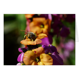 Spring Bee-gins!