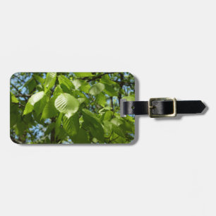 Spring Birch Leaves Green Tree Luggage Tag