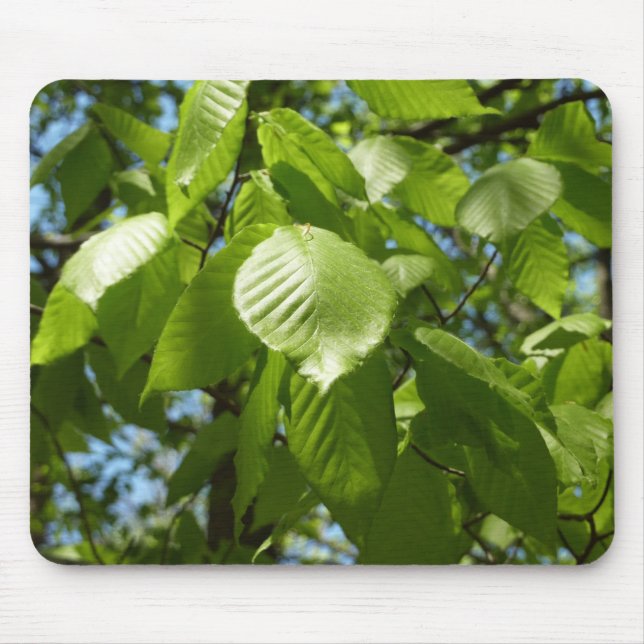 Spring Birch Leaves Green Tree Mouse Mat (Front)