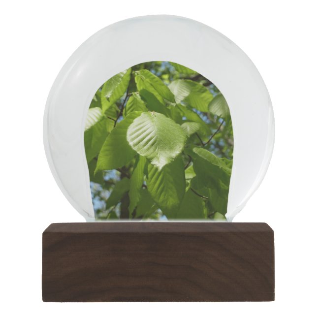 Spring Birch Leaves Green Tree Snow Globe (Front)