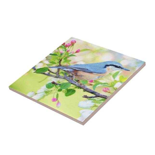 Spring Bird - Beautiful Tile (Side)
