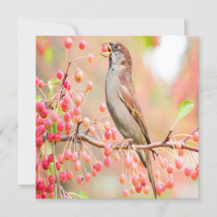 Spring Bird Eating Berries