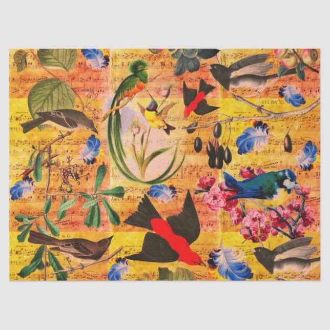 SPRING BIRDS,FEATHERS,FRUITS Floral Music Notes Tissue Paper (Front)