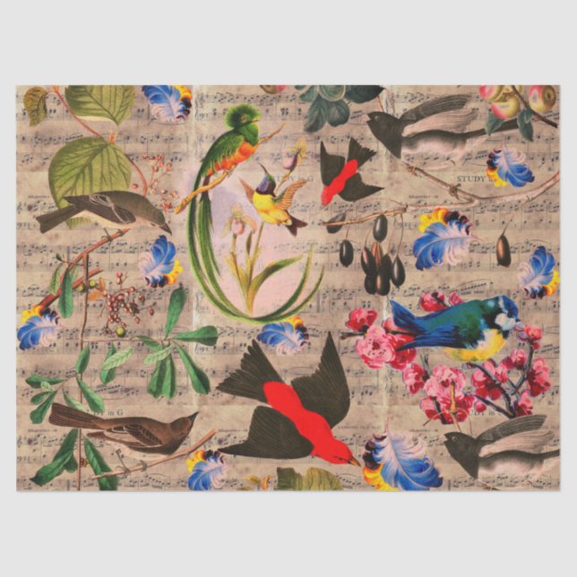 SPRING BIRDS,FEATHERS,FRUITS Floral Music Notes Tissue Paper (Front)